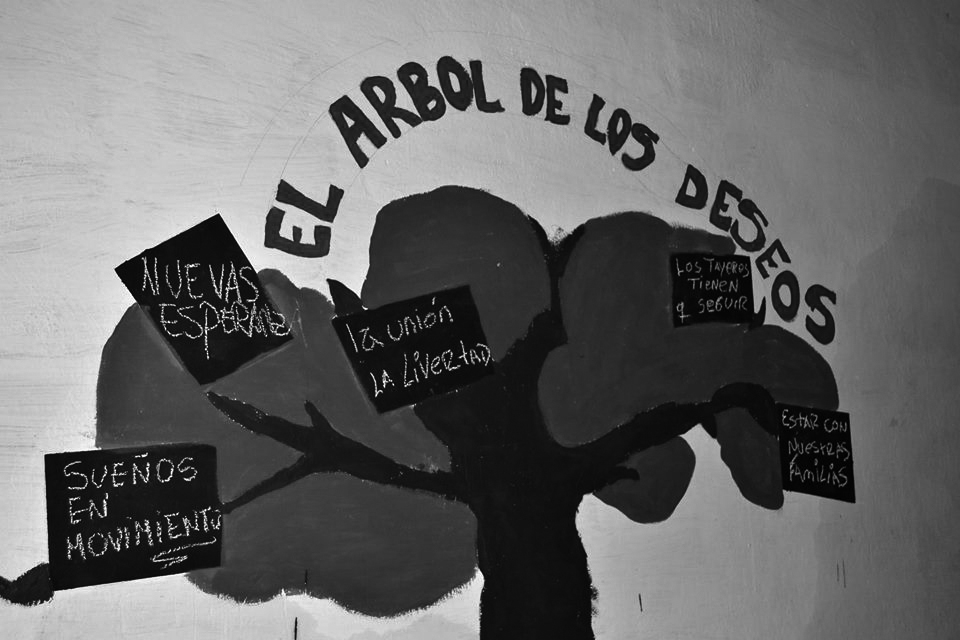 arbol