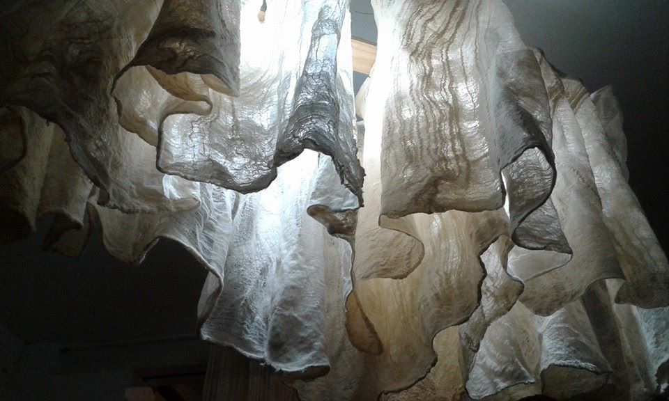 13921054_1494334257259769_5937032215822098513_n