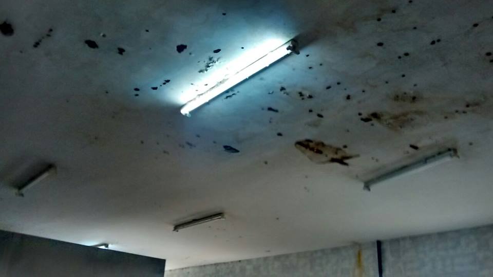 14232978_1526189890740872_612816391754910233_n